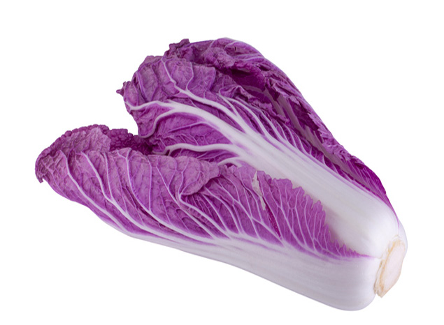 635Section_slider_win006